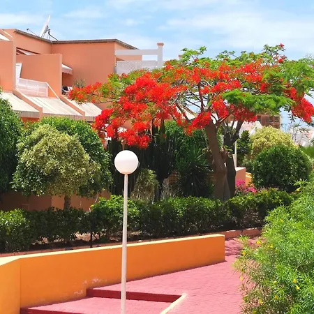 Orlando Sea Апартаменты