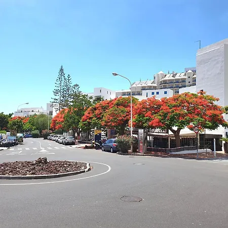 Apartman Orlando Sea Costa Adeje (Tenerife)